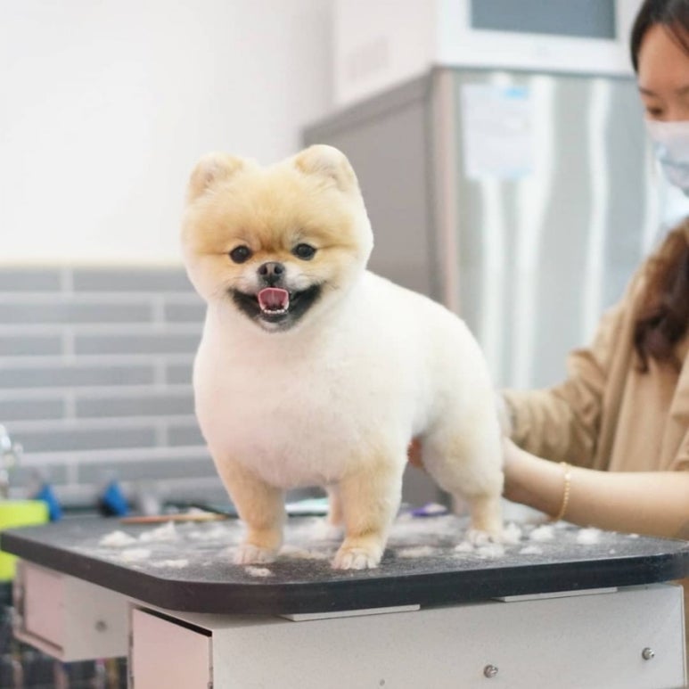 구미포미 이미지