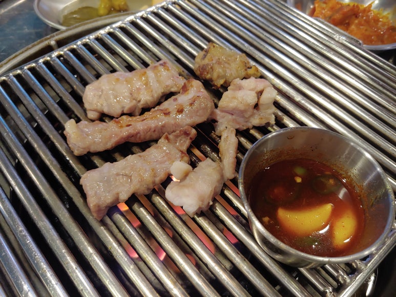 돼지특별시 이미지