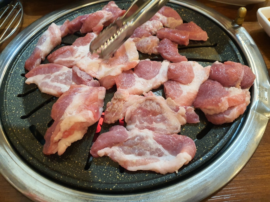 전설의딧고기 이미지