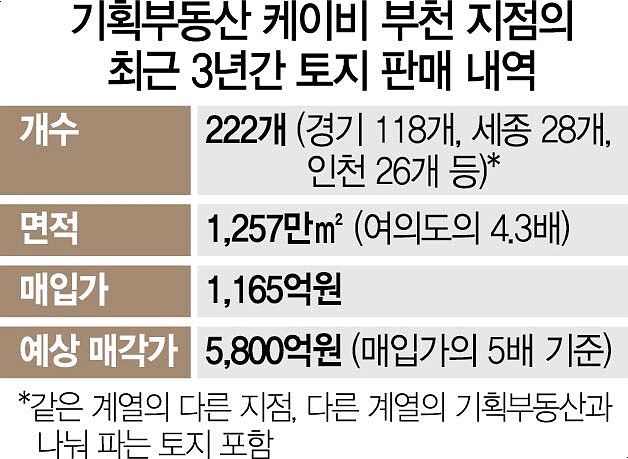 수지기획 이미지