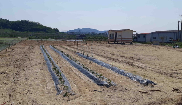 농업회사법인(주)그린팜 이미지