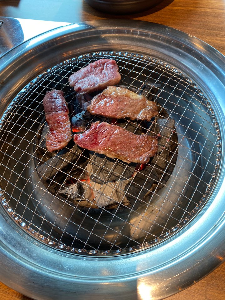 공룡고기 이미지
