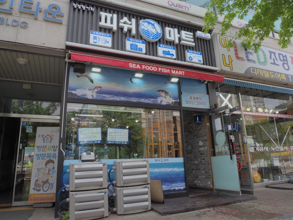 백마회수산 이미지