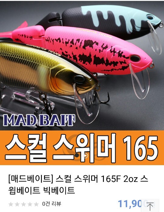 샤델 이미지