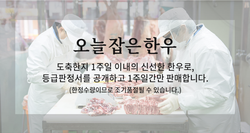 마블넘버나인 이미지