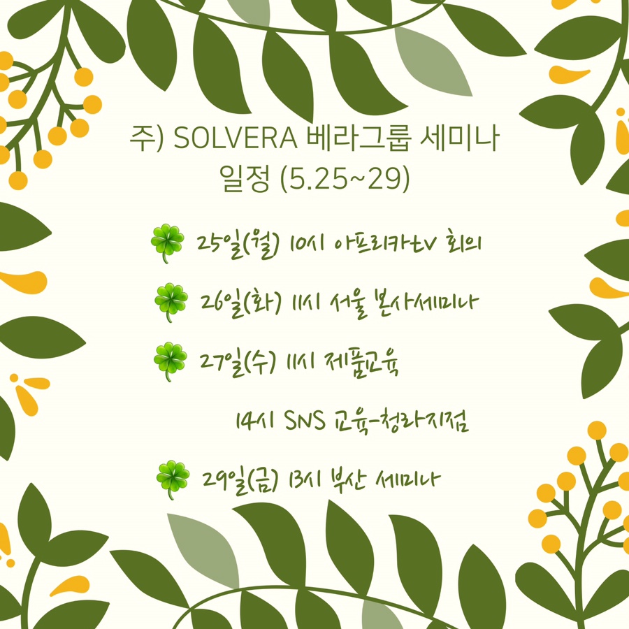 쏠베라 이미지
