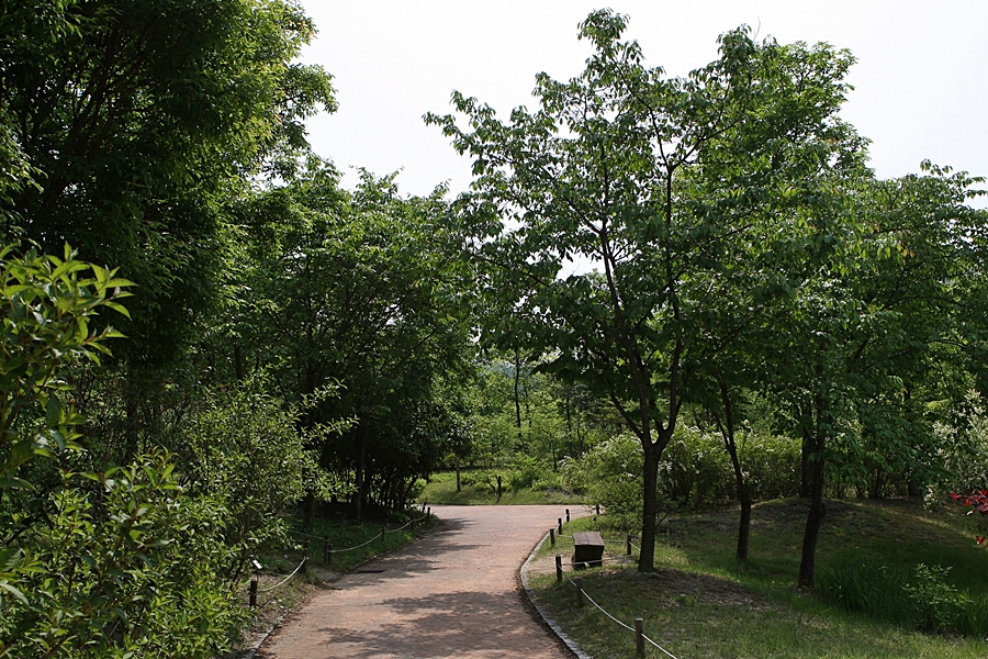 황학산수목원 이미지