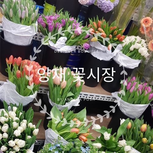 시장꽃도소매 이미지