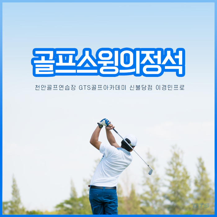 스윙골프 이미지