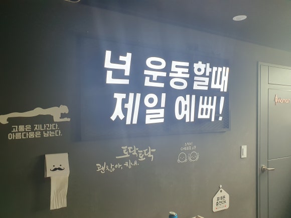엠스타복싱클럽 이미지