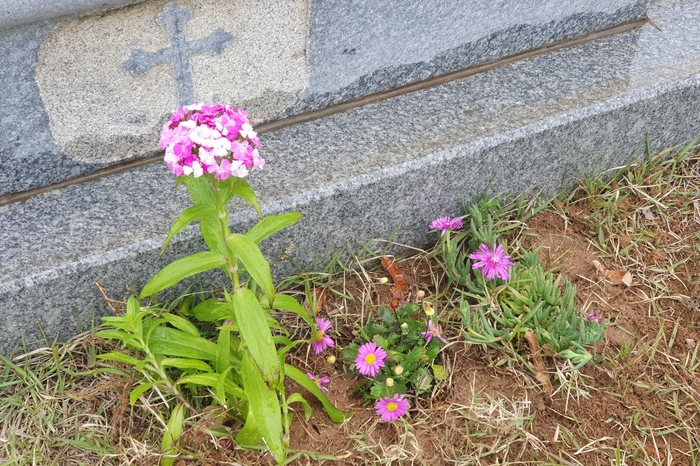 청담24시감자탕 이미지