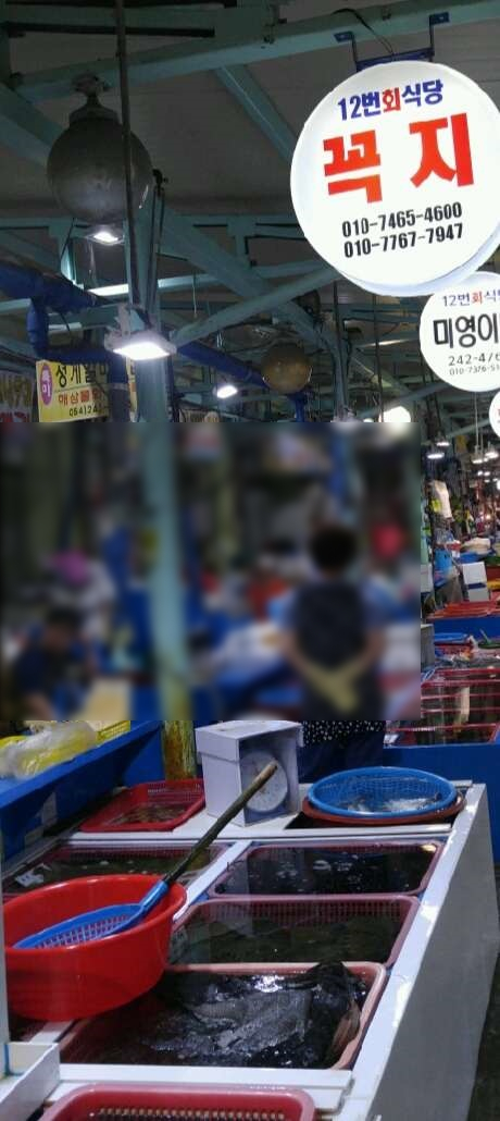 어시장횟집 이미지