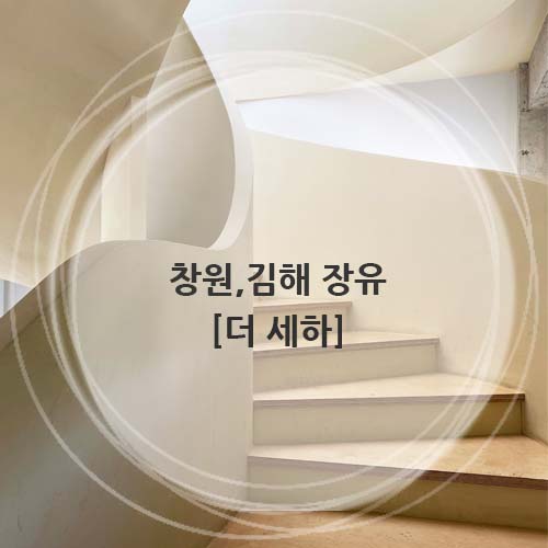 세하디자인 이미지