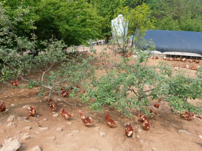 이화식품 이미지