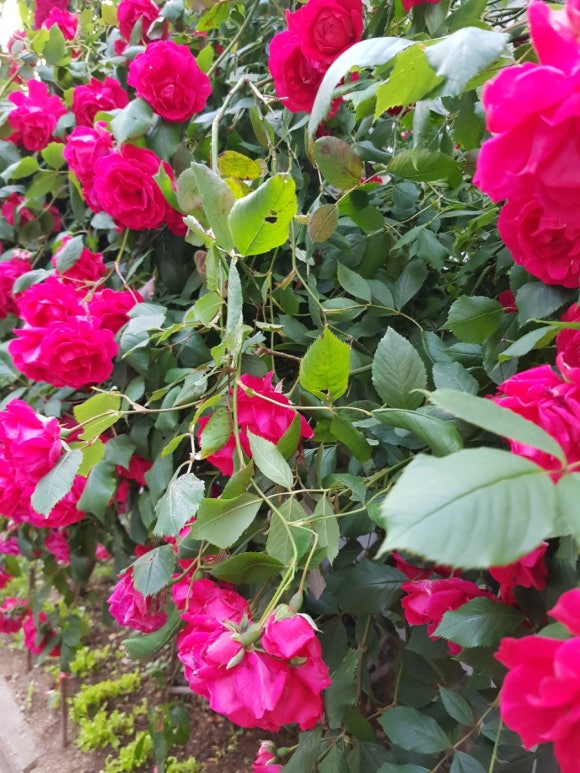 행복의샘(주) 이미지