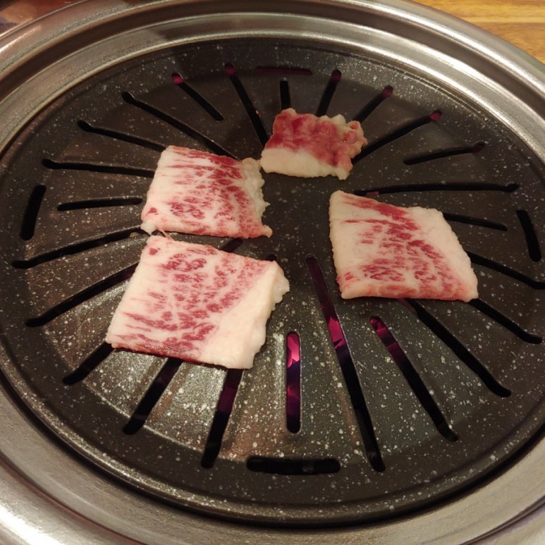 개나리회관 이미지