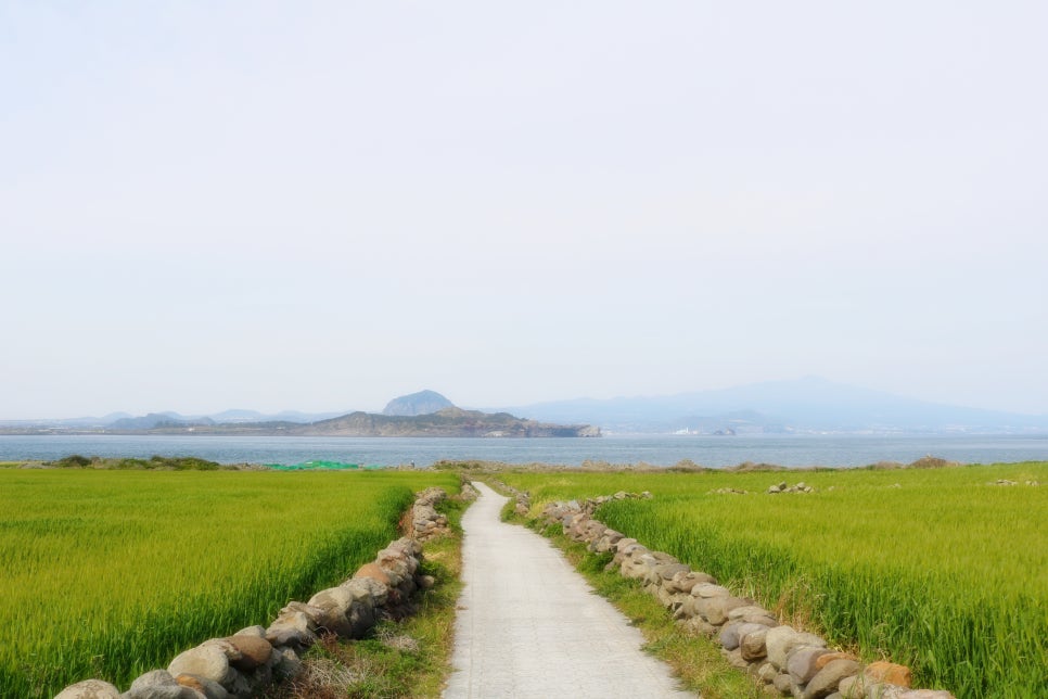 마라도협동조합 이미지