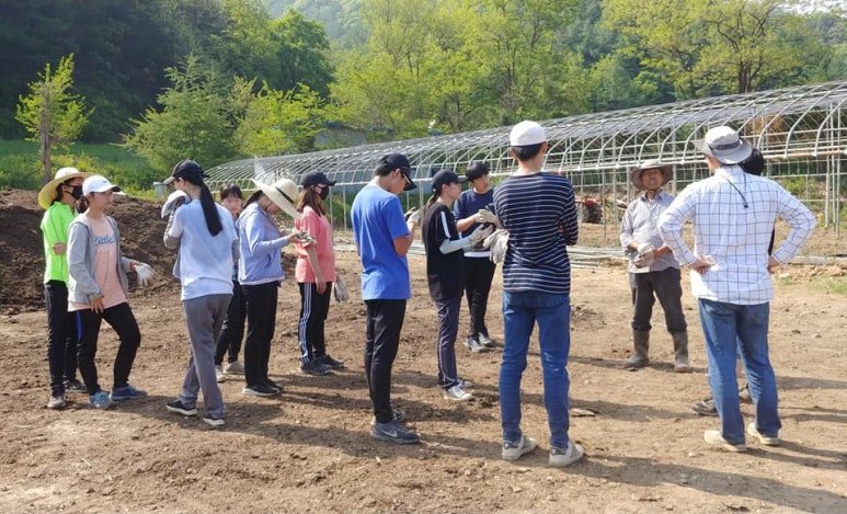 산아래토마토 이미지