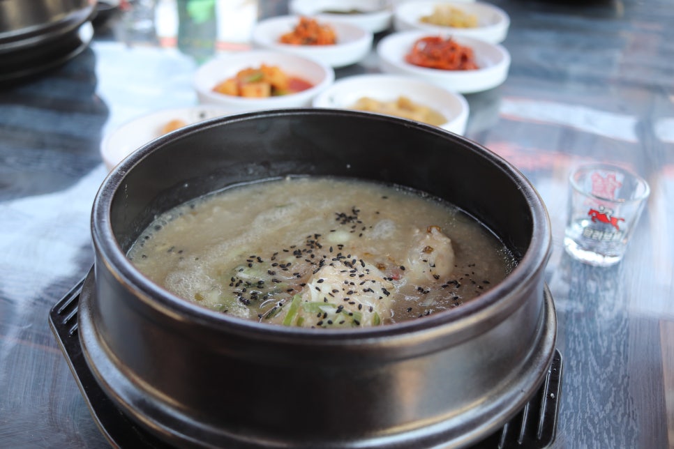 산골닭한마리 이미지