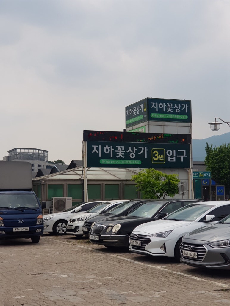 시장꽃도소매 이미지