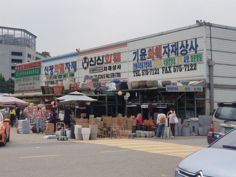 시장꽃도소매 이미지