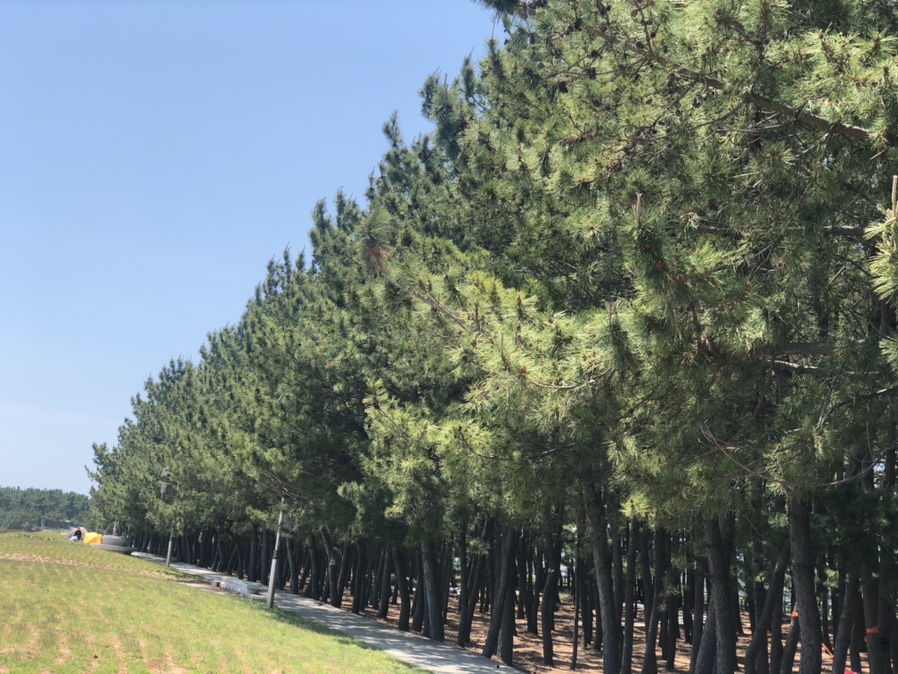 영덕아라펜션 이미지