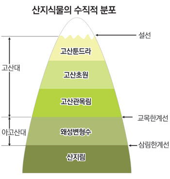 솔트라인 이미지