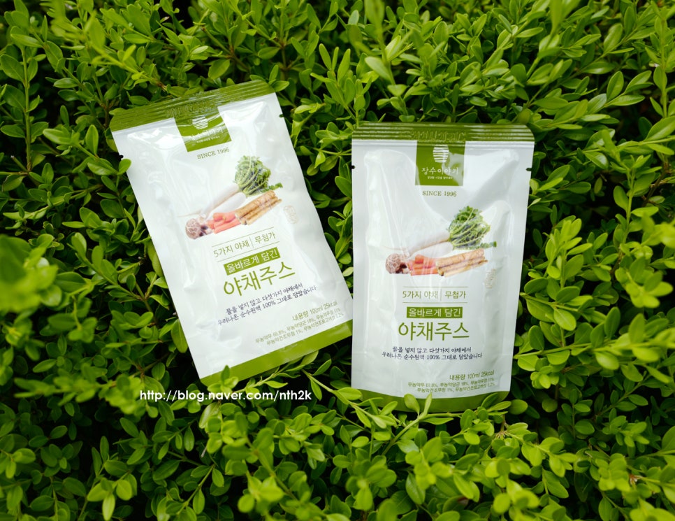 장수 엽록소 이미지