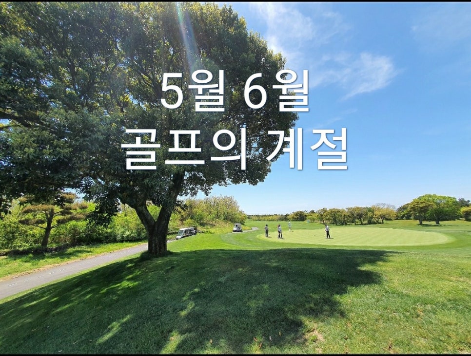 라온골프 이미지