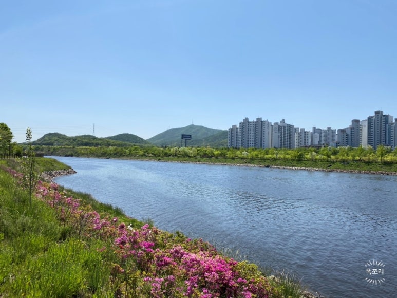 한들소머리국밥 이미지