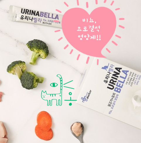 벨라지다 이미지