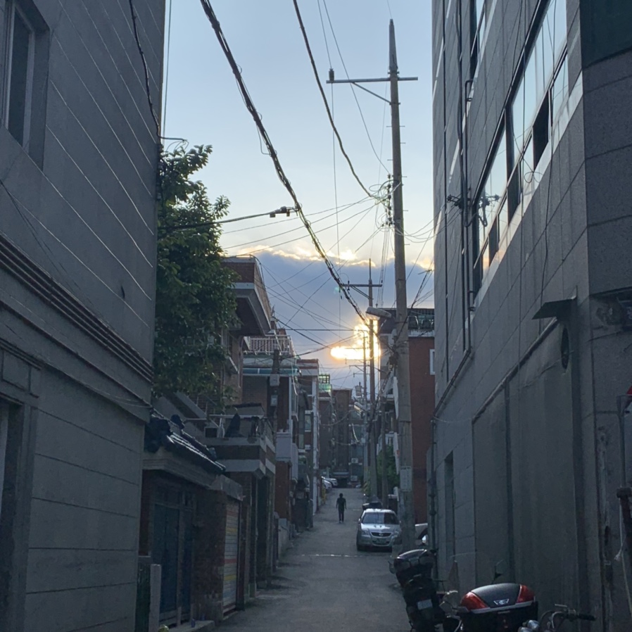 만다린 사진 7