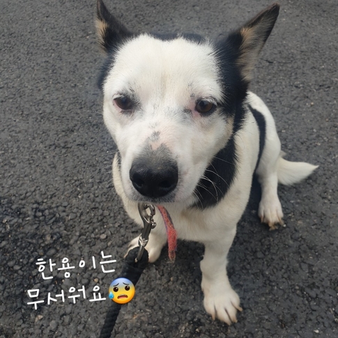 한용 이미지