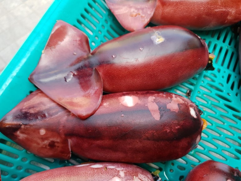 충주상회 이미지