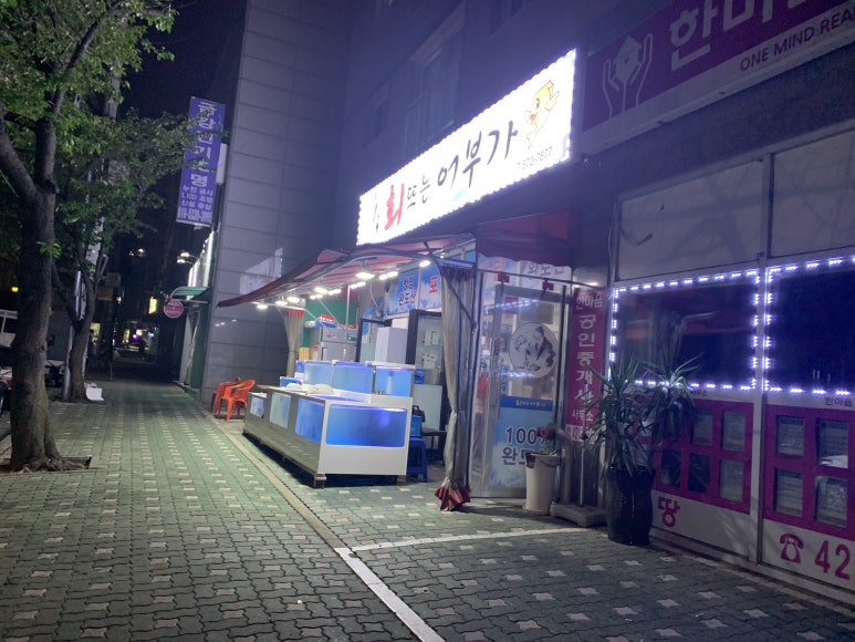회뜨는어부가 이미지