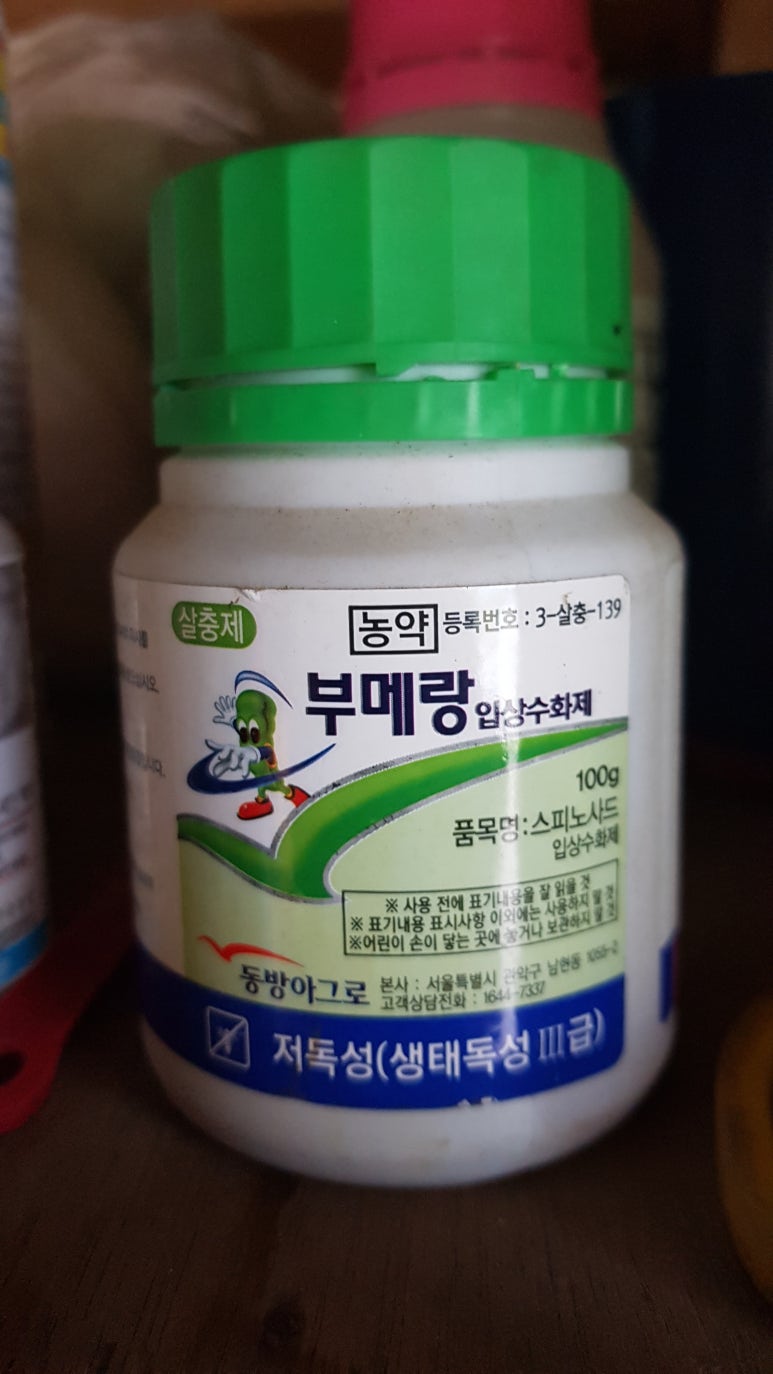 에고그루 이미지