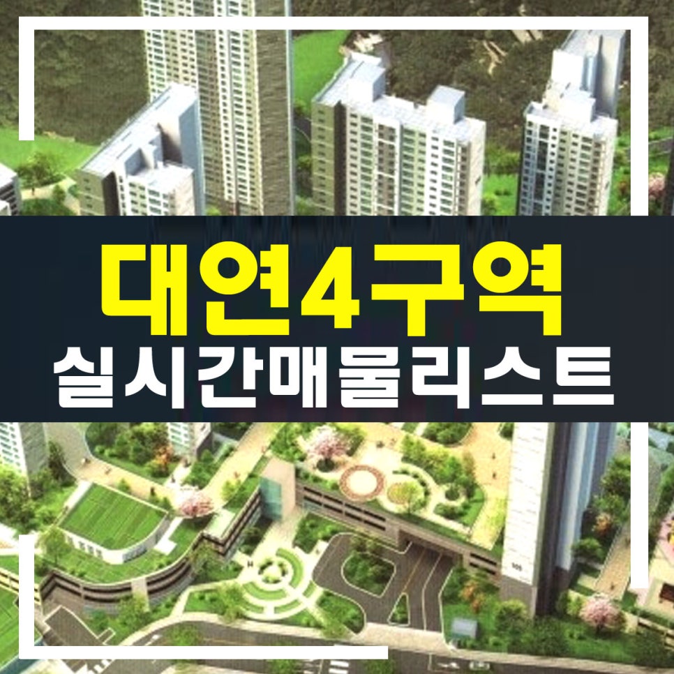 대연주 이미지