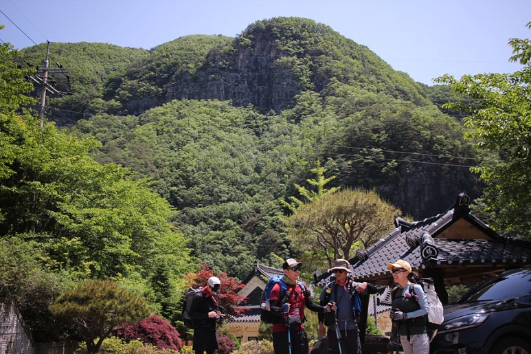 법전식육점 이미지