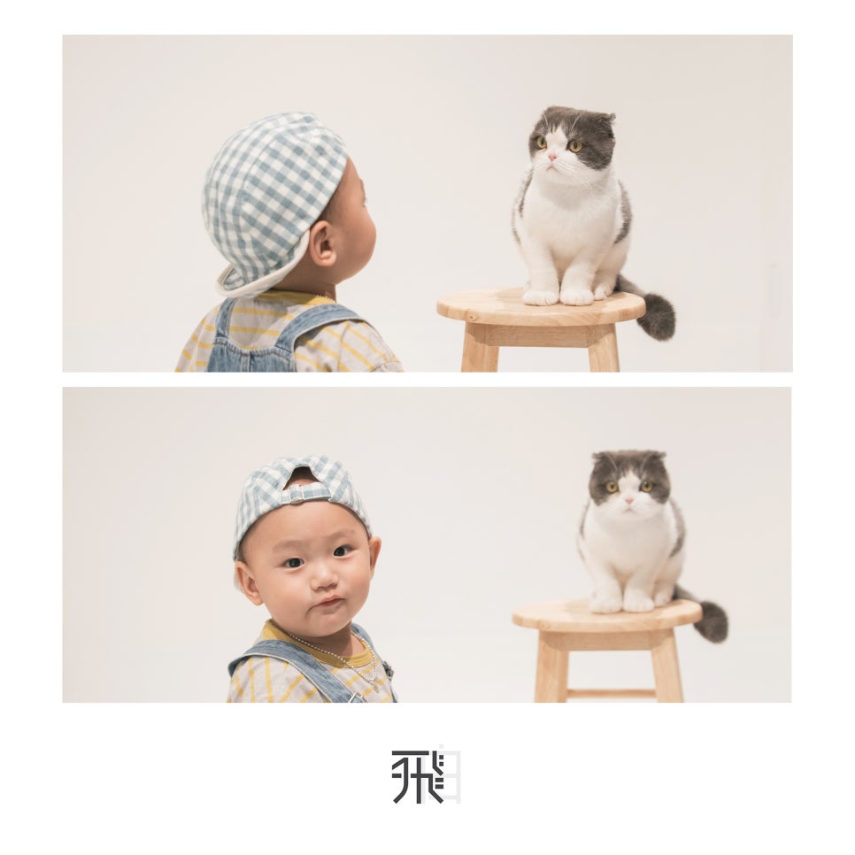 스튜디오비백 이미지