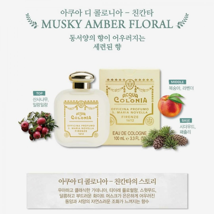 산타마리아노벨라 이미지
