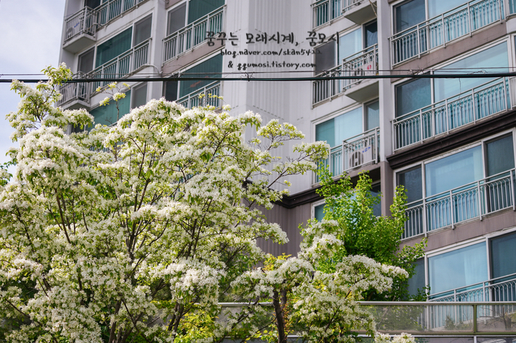 어수지락 이미지