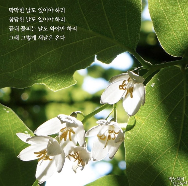 그날이오면 이미지