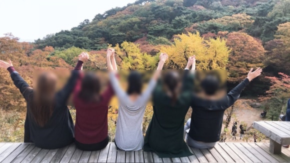 철없는 새우 이미지