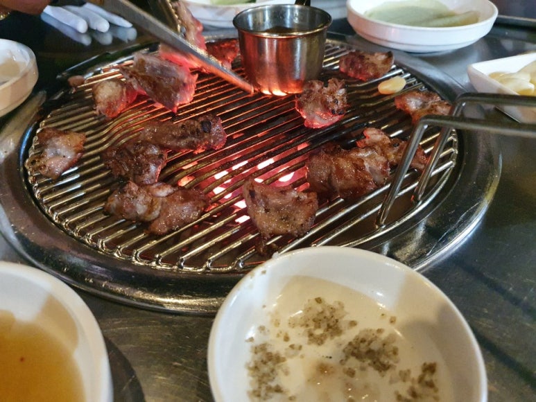 노을빛돼지 이미지