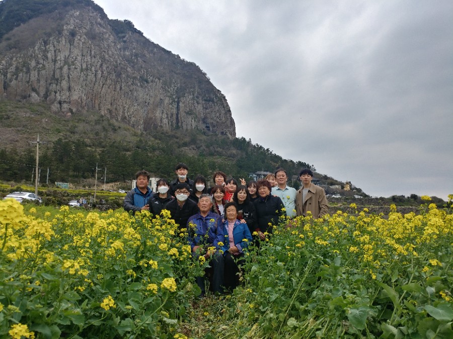 제주미니버스투어 이미지