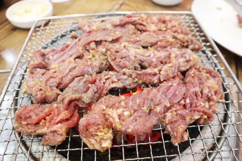 오륙도갈매기 이미지