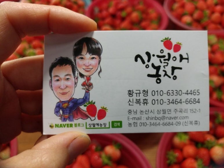 논뜨락 산뜨락 이미지