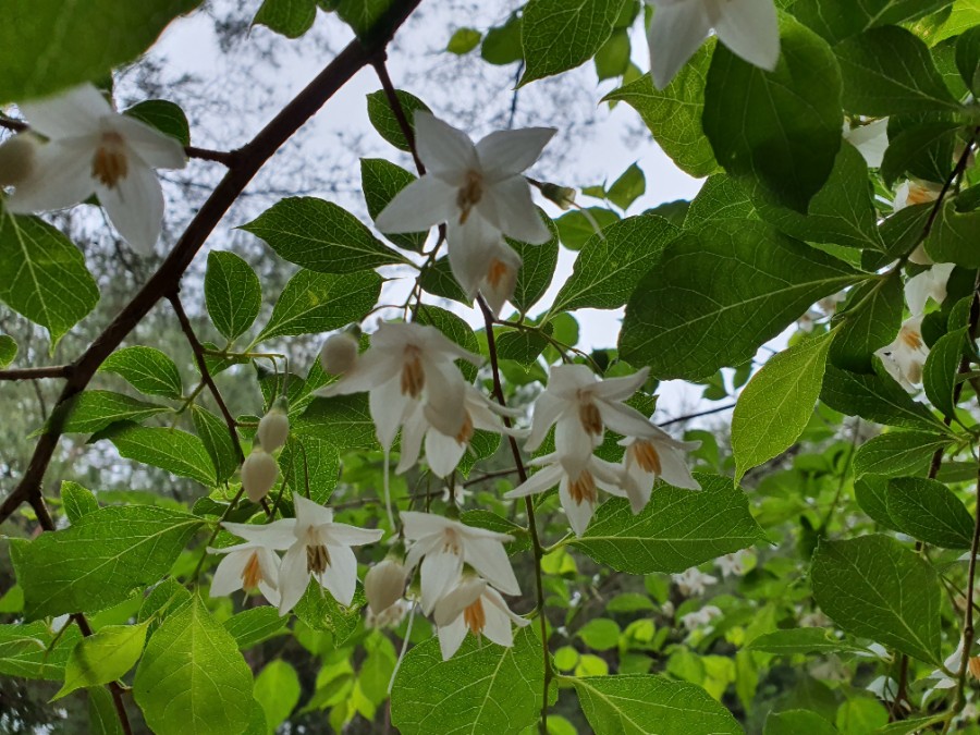 중앙유치원 이미지