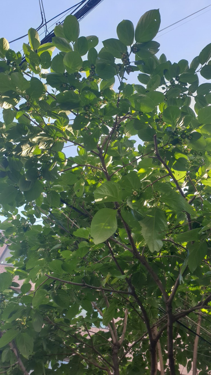티케이컴퍼니 이미지