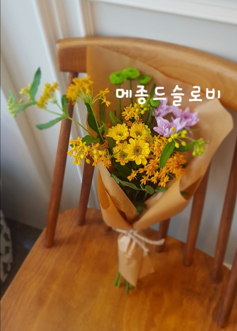메종드슬로비 이미지